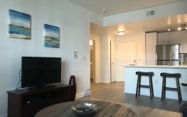 AR National Short Term Housing 21