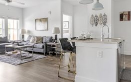 Anthem on Ashley 4 Anthem on Ashley 4