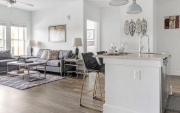 Anthem on Ashley 4 Anthem on Ashley 4