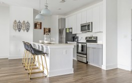 Anthem on Ashley 5 Anthem on Ashley 5