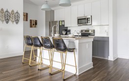 Anthem on Ashley 7 Anthem on Ashley 7