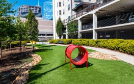 Cortland at Phipps Plaza 3 scaled Cortland at Phipps Plaza 3 scaled