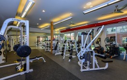 Cortland at Phipps Plaza 4 1 Cortland at Phipps Plaza 4 1