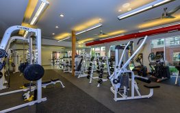 Cortland at Phipps Plaza 4 Cortland at Phipps Plaza 4