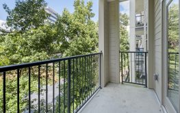 Cortland at the hill 12 Cortland at the hill 12