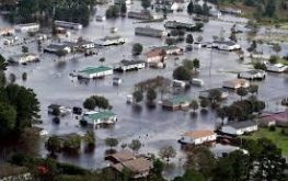 Insurance Insurance