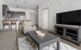 Lincoln at Dilworth 11 Lincoln at Dilworth 11