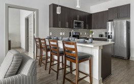 Lincoln at Dilworth 12 Lincoln at Dilworth 12