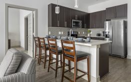 Lincoln at Dilworth 12 Lincoln at Dilworth 12