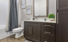 Lincoln at Dilworth 7 Lincoln at Dilworth 7