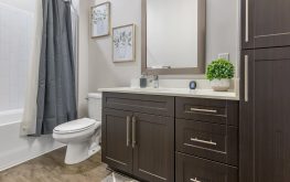 Lincoln at Dilworth 7 Lincoln at Dilworth 7