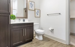 Lincoln at Dilworth 8 Lincoln at Dilworth 8