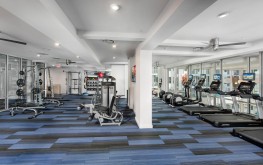 Spectrum on Spring f Spectrum on Spring f