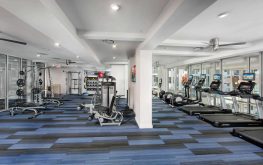 Spectrum on Spring f Spectrum on Spring f