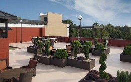 The GoodWynn 2 The GoodWynn 2