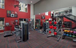 The GoodWynn 4 The GoodWynn 4