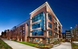 The Local at 14th d The Local at 14th d