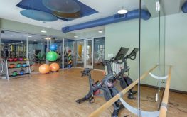 Aston City Springs 5 Aston City Springs 5