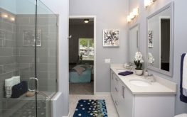 Aston City Springs 7 Aston City Springs 7